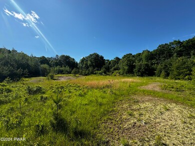 0 Urban Rd, Lords Valley, PA 18428 - photo 5