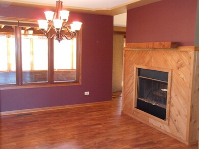 31820 S State Line Rd, Beecher, IL 60401 - photo 7