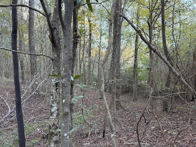 225 Frost Ln, Bude, MS 39630 - photo 4