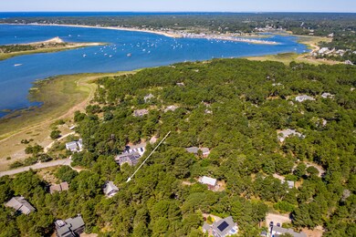 Wellfleet Harbor