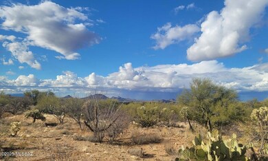 16252 W Pyle Rd unit 106, Diamond Bell Ranch, AZ 85736 - photo 4