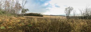 L1 Mineral Point Rd, Cross Plains, WI 53528 - photo 5