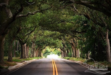 Tree Tunnel in East Hill