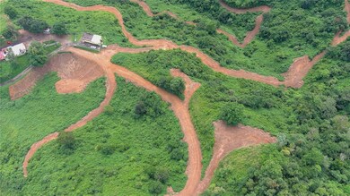 0 Carr 164, Naranjito, PR 00719 - photo 6