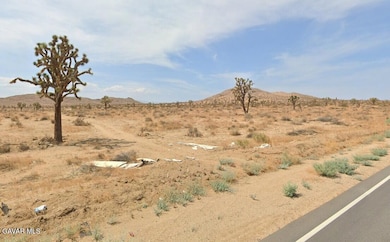 0 Vic 196th St E and Ave J4, Lancaster, CA 93535 - photo 2