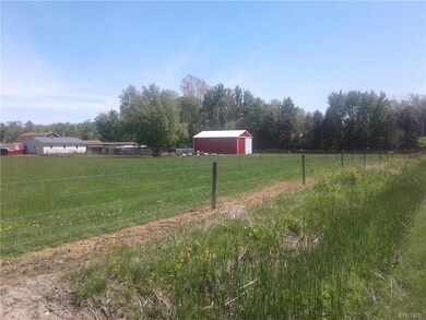 5453 Mapleton Rd, Lockport, NY 14094 - photo 4