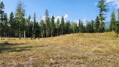 11678 S Whitetail Rd, Bigfork, MT 59911 - photo 3