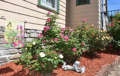 264 Beverly Rd, Worcester, MA 01605 - photo 3