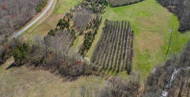 0 Will Hickerson Rd, Tullahoma, TN 37388 - photo 4