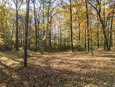 Lot 114 W Lakeshore Dr, Starkville, MS 39759 - photo 7