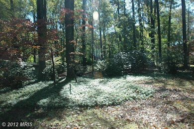 1013 Orchard Way, Silver Spring, MD 20904 - photo 4