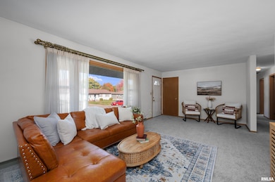 4226 26th Ave, Rock Island, IL 61201 - photo 5