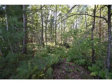 Lot #2 Olsen Road Rd, Webster, WI 54893 - photo 7