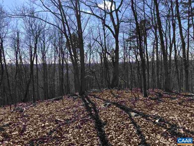 TBD Norwood Rd, Norwood, VA 24581 - photo 4