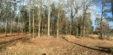 0 Daisy Ranch Rd, Pineville, LA 71360 - photo 3