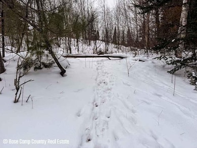 0 Forest Hill Dr unit 25754675, Townsend, WI 54175 - photo 4