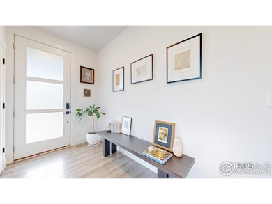 4901 Brule Dr, Timnath, CO 80547 - photo 7