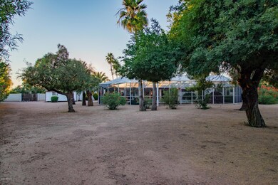 Huge Backyard