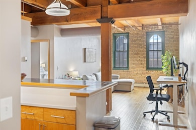 400 N 1st St unit 507, Minneapolis, MN 55401 - photo 3