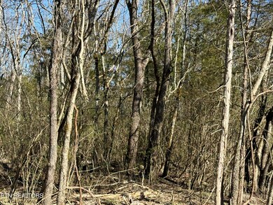 000 Dandelion Dr, Newport, TN 37821 - photo 2