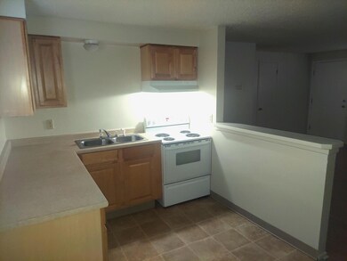 204_kitch
