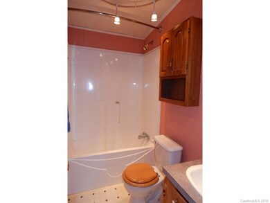 350 Goughes Branch Rd, Leicester, NC 28748 - photo 7