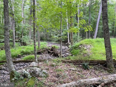 9.89Acs Rough Run Rd, Eastern, WV 26802 - photo 7