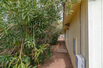 LUSH SIDE YARD