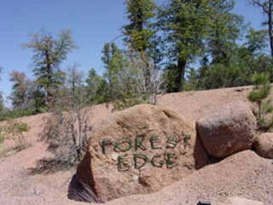 1203 E Phoenix St, Payson, AZ 85541 - photo 2