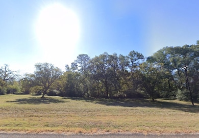 Plantation Blvd, Trinity, TX 75862 - photo 2