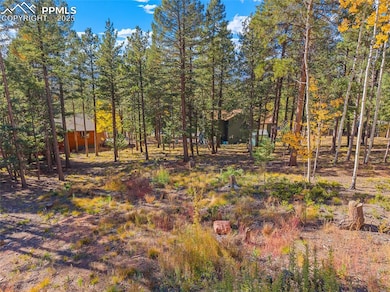 1320 Forest Edge Rd, Woodland Park, CO 80863 - photo 6