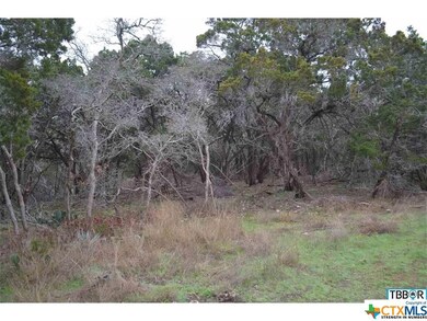 A0607BC Buggy Ride Rd, Temple, TX 76502 - photo 4