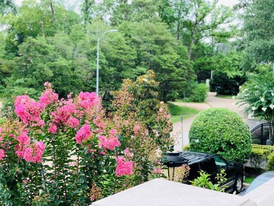 Breathtaking neighborhood views from the front of