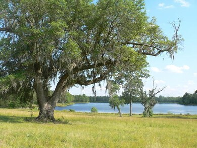 Overlooking 67 Acre Lake at Foxbank