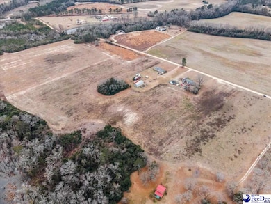 TBD Bryant St, Darlington, SC 29540 - photo 6