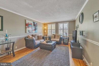 4212 36th St S unit A2, Arlington, VA 22206 - photo 3