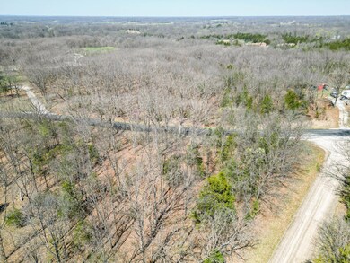 DJI_0589