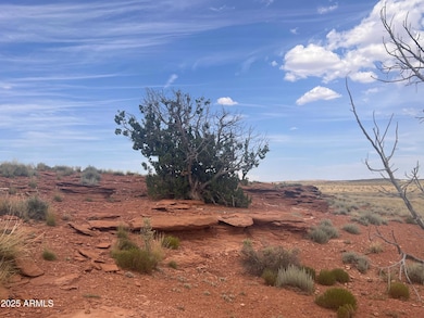 6260 Woodruff Rd, Woodruff, AZ 85942 - photo 4