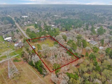 25835 Brushy Creek Dr, Hockley, TX 77447 - photo 6