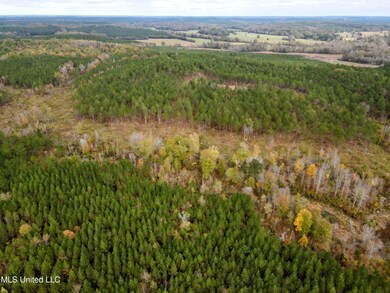Tbd Cr 235, Banner, MS 38913 - photo 6