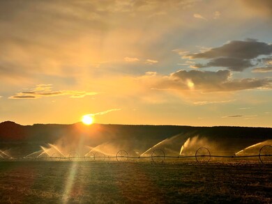 1950 S Lizard Ranch Rd, Escalante, UT 84726 - photo 2