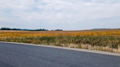 15237 E Belmont Appx Rd, Mica, WA 99023 - photo 3