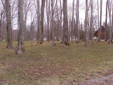 part of the lots