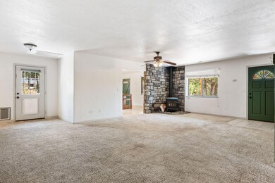 171 E Orchard, Central, UT 84722 - photo 5