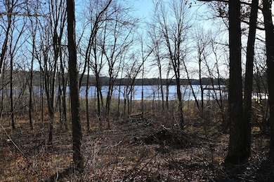 TBD Ottawa Dr, Browerville, MN 56438 - photo 7