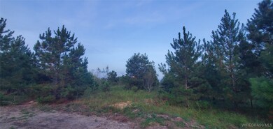 725 Dock Wilson Rd, Samson, AL 36477 - photo 7