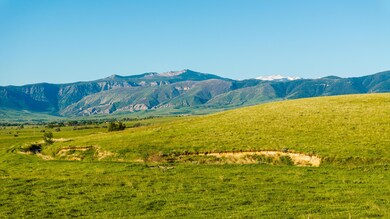 007_dji_20240606071153_0021_d_633
