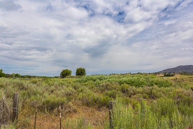 x Cox Cir, Arboles, CO 81137 - photo 7