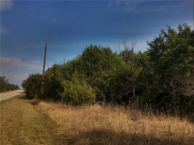 33035 Woodcrest Dr, Whitney, TX 76692 - photo 5