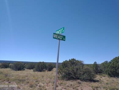 IMG_20220917_110823348